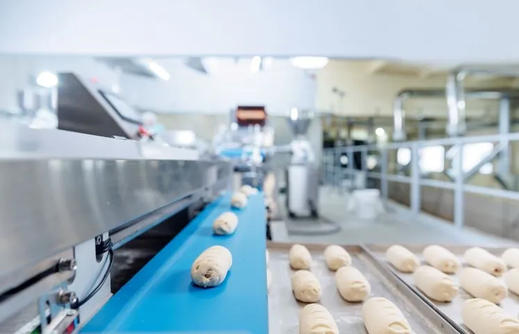 Bakery production line, Selangor: dough pieces tracked from mixing to dispatch in one connected flow.